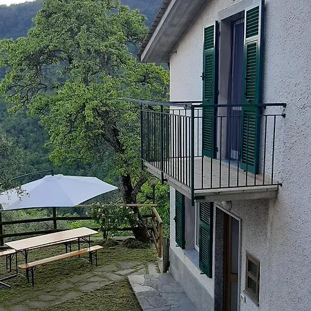 La Casa Di Amelia *